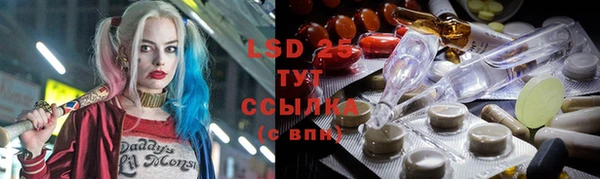 МДПВ Елабуга