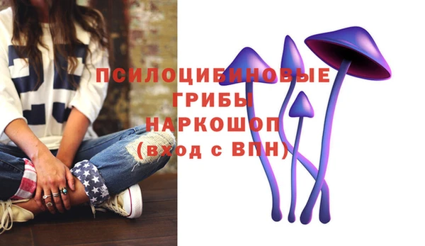 МДПВ Елабуга