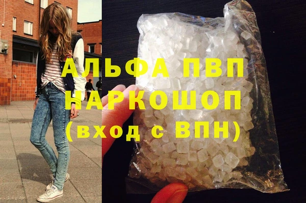 ECSTASY Елизово