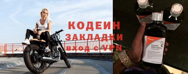 прущие грибы Ельня