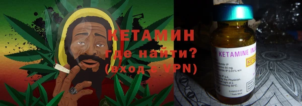 прущие грибы Ельня