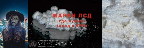 прущие грибы Ельня