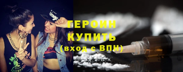 прущие грибы Ельня