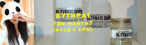 прущие грибы Ельня