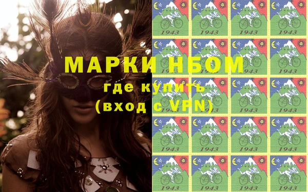 прущие грибы Ельня