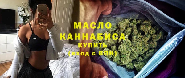 прущие грибы Ельня