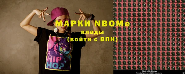 прущие грибы Ельня