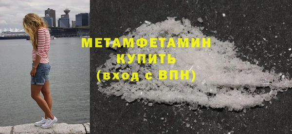 прущие грибы Ельня