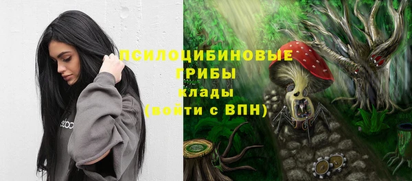 МДПВ Елабуга