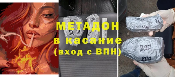прущие грибы Ельня