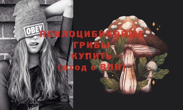 прущие грибы Ельня