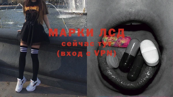 ECSTASY Елизово