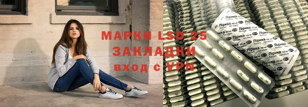 прущие грибы Ельня