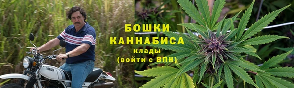 прущие грибы Ельня