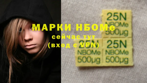 ECSTASY Елизово