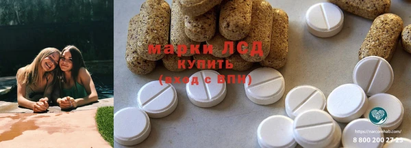 ECSTASY Елизово