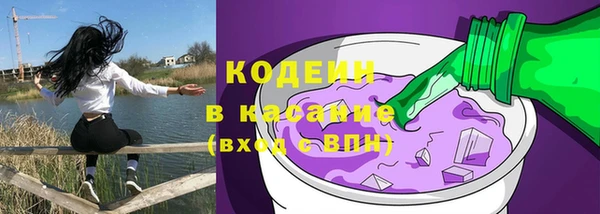 прущие грибы Ельня