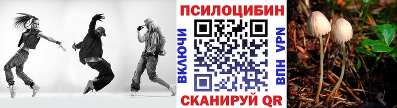 Галлюциногенные грибы Psilocybine cubensis Выкса
